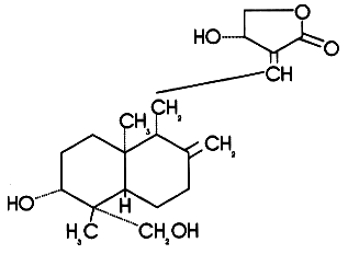 andrographolide - called 