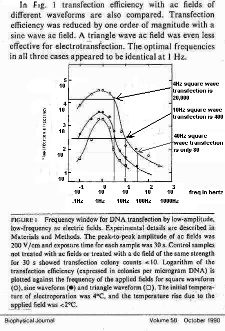 Transfection