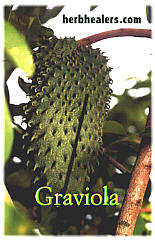 Graviola