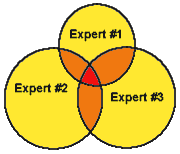 The various subset elements of conflicting expert opinion