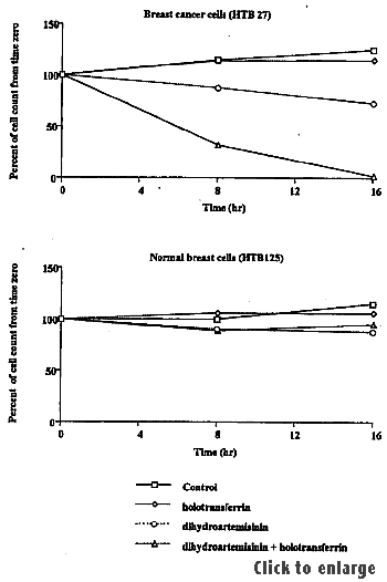 Human breast cancer cell results