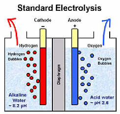 Standard Electrolysis