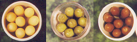 Left to right: Chelatox, Cansema, and Neem Oil Suppositories.