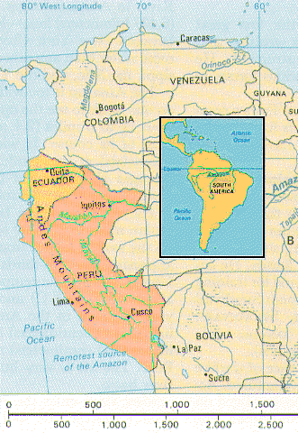 Western Amazonia, including the northern half of South America